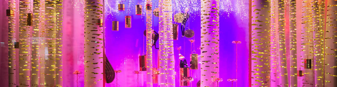 Decoration Vitrine Luxe Paris 